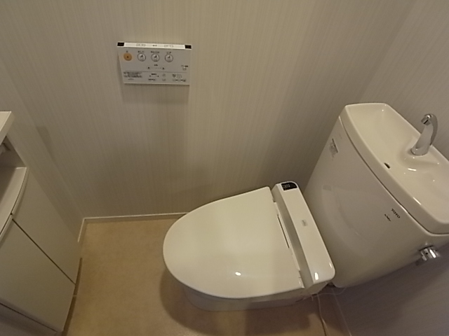 Toilet