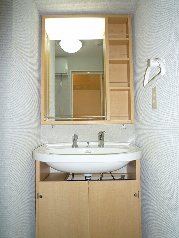 Washroom. Shampoo dresser