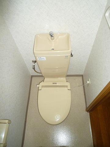 Toilet. Heating toilet seat