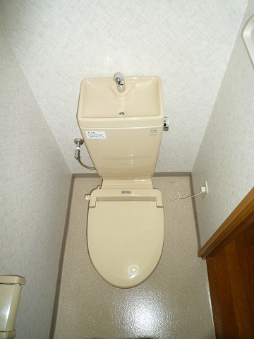 Toilet. Heating toilet seat