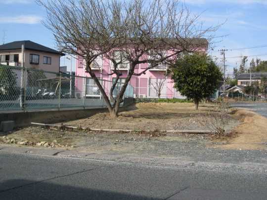 Local land photo