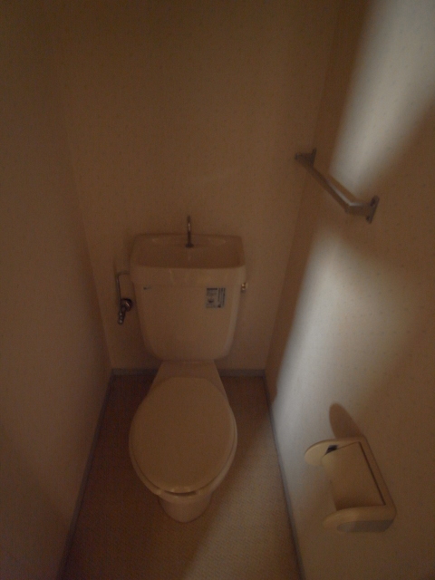 Toilet. The same type