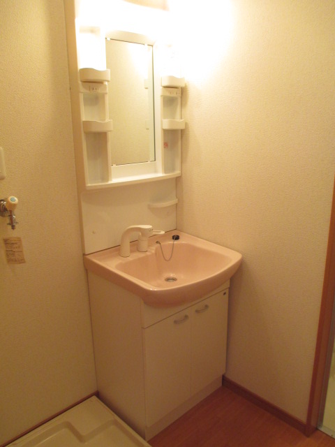 Washroom. Shampoo dresser