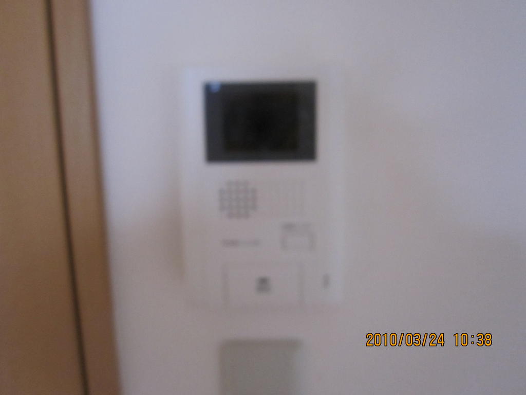 Security. Color monitor with intercom