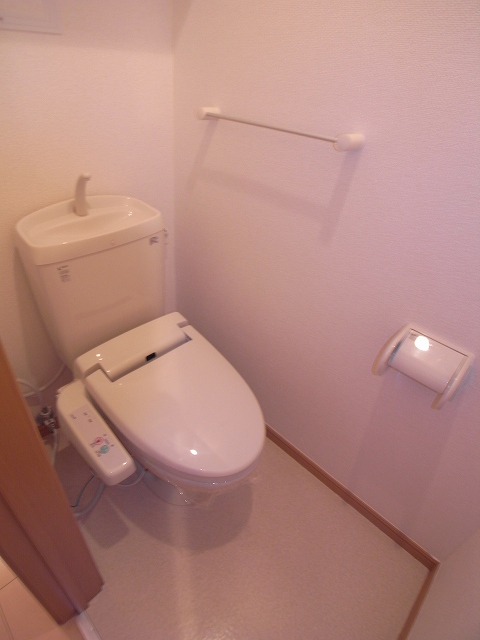 Toilet. The same type