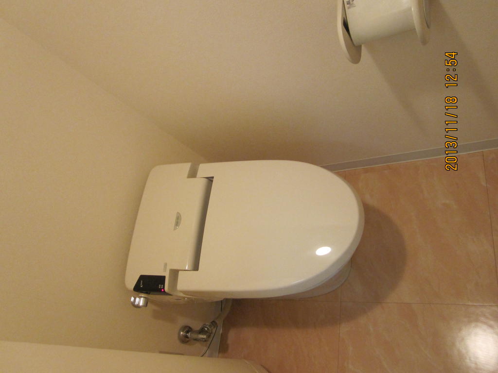 Toilet. Tankless shower toilet