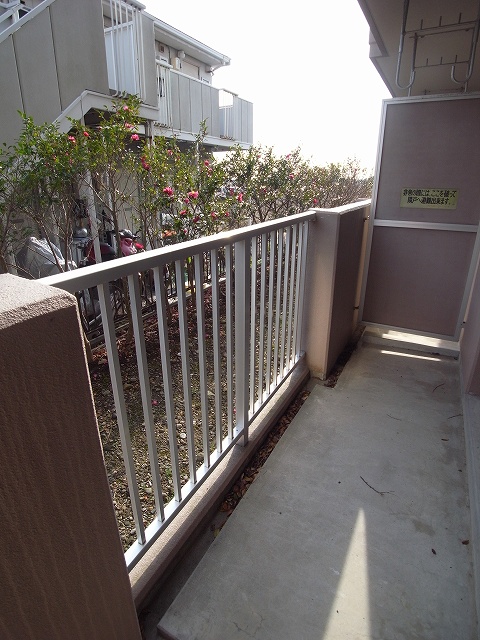 Balcony. Veranda