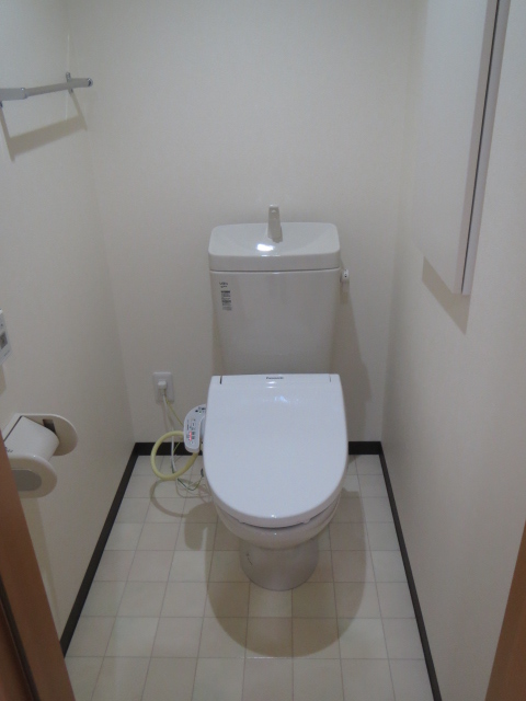 Toilet. Toilet