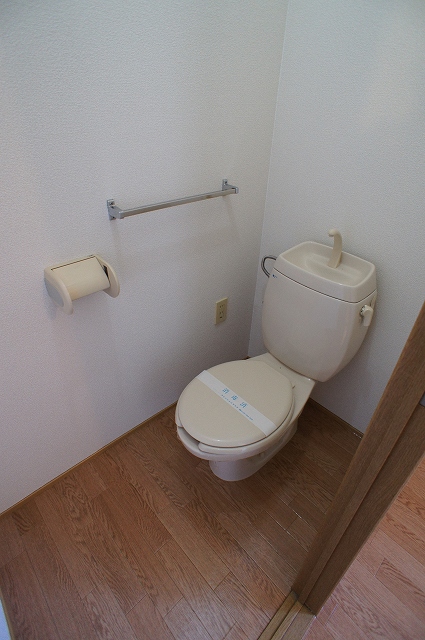 Toilet. The same type