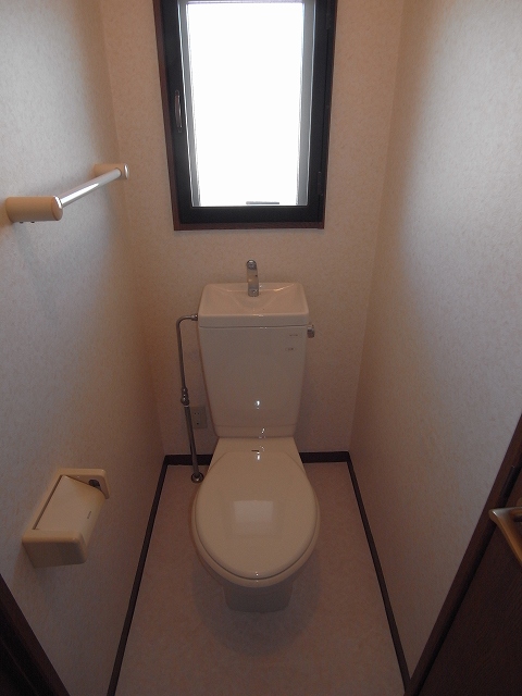 Toilet. The same type