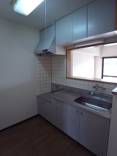 Kitchen. The same type