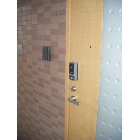 Entrance. Fingerprint collation lock system