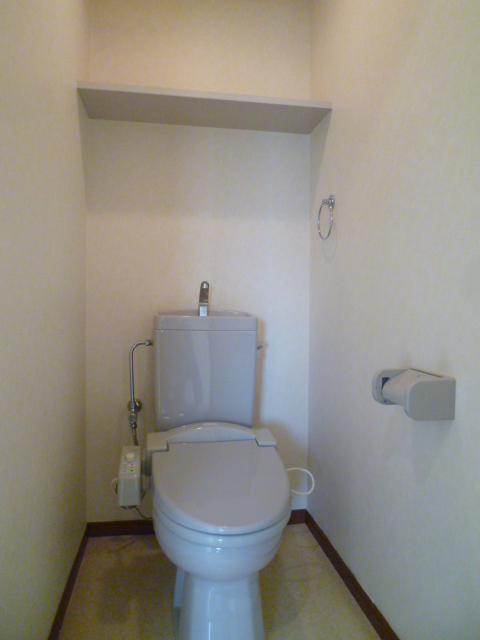 Toilet. Shower toilet