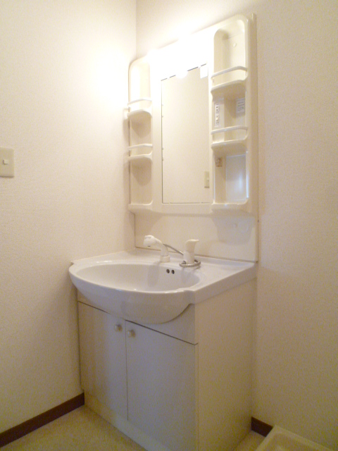 Washroom. Shampoo dresser