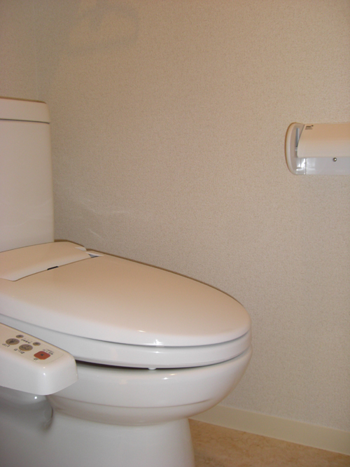 Toilet. Shower toilet