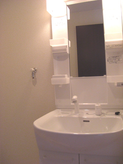 Washroom. Shampoo dresser