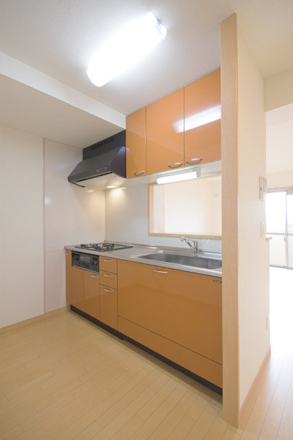 Kitchen. Face-to-face kitchen