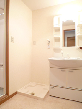 Washroom. Shampoo is Dresser.