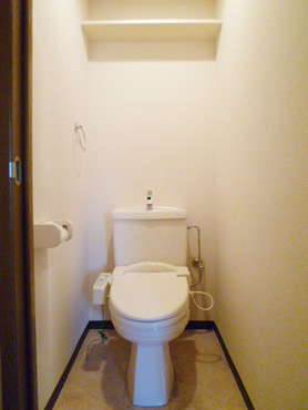 Toilet. Shower toilet.