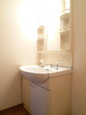 Washroom. Shampoo dresser.