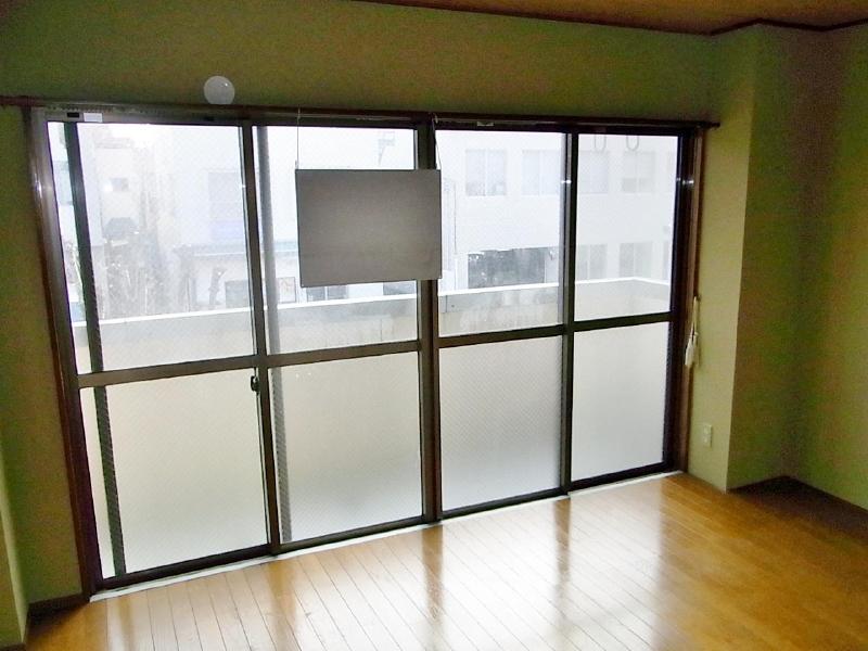 Living and room. Since the south side of the window is wide there is a very open feeling