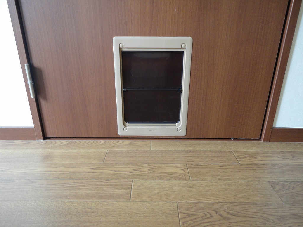 Other. It is through door