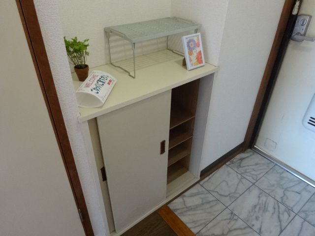 Entrance. Clean toilet