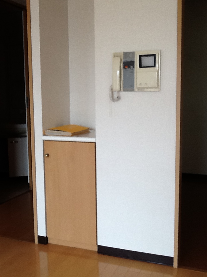 Security. Monitor with intercom