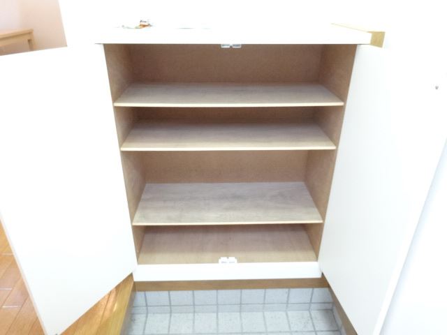 Entrance. Shoe box full of entering