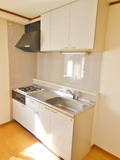 Kitchen. Two-burner stove with grill system Kitchen