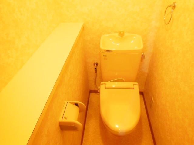Toilet. Wide shelf in the toilet It is can also display