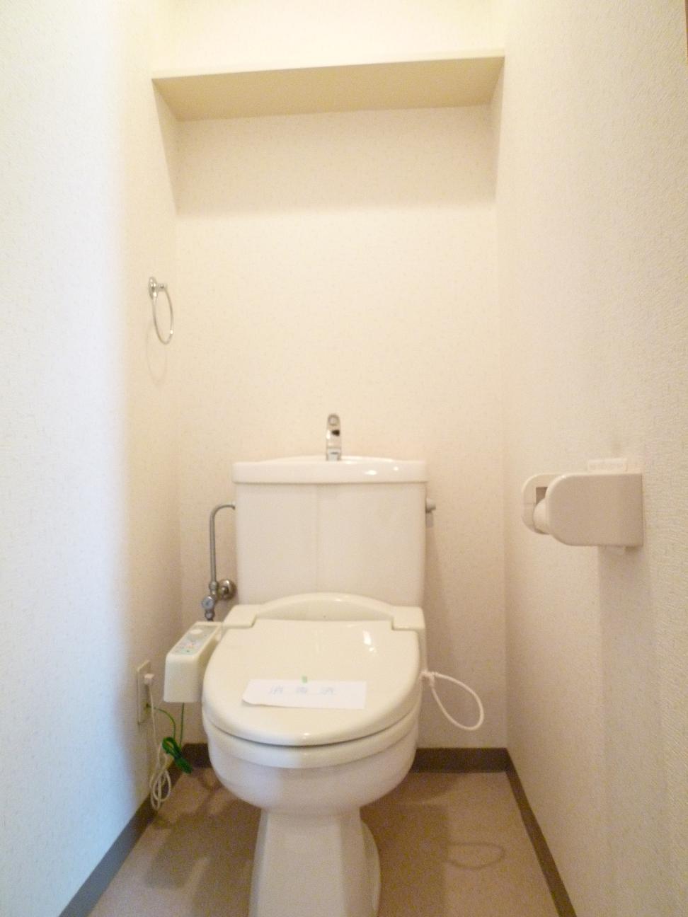 Toilet. Shower toilet