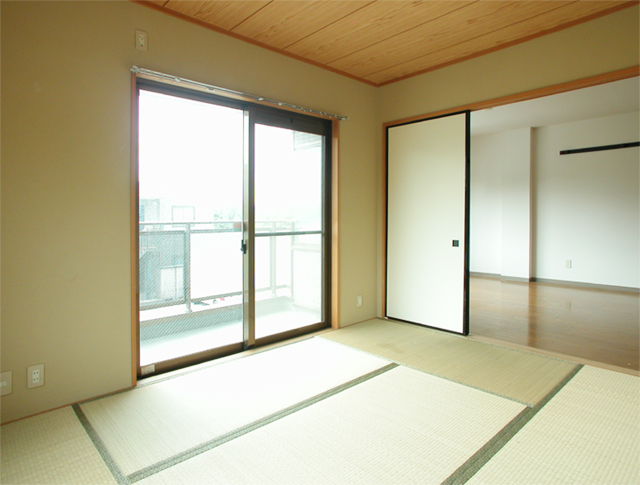 Other room space. Japanese style room