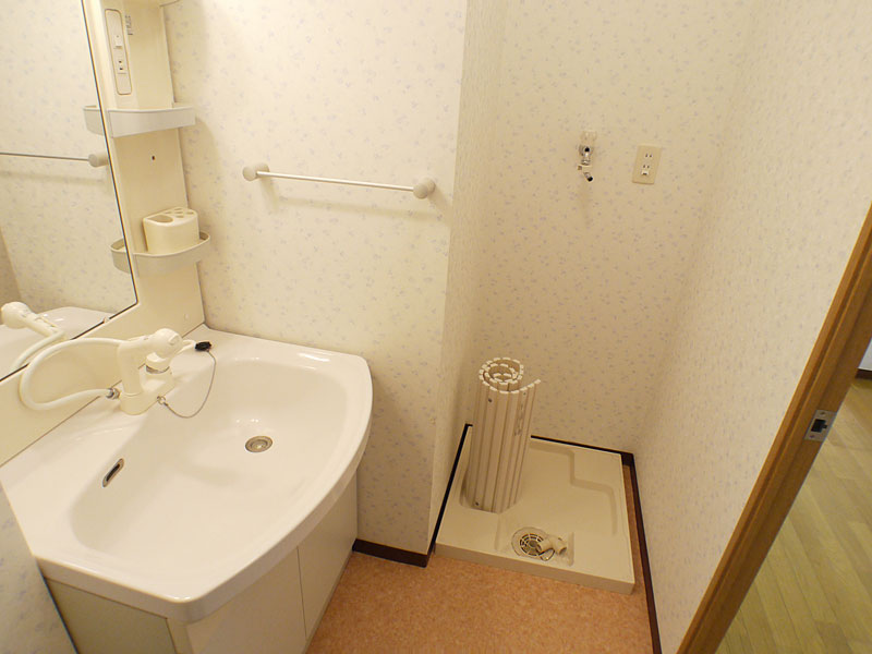 Washroom. There is a washing machine storage.