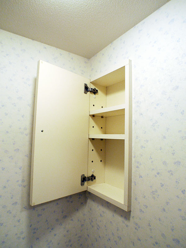 Toilet. Toilet shelf