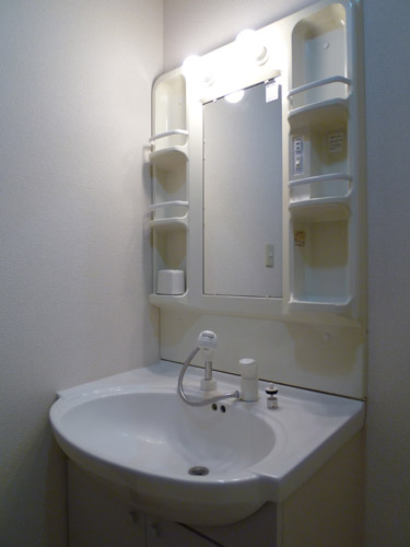 Washroom. Shampoo dresser