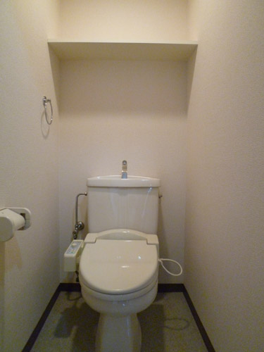 Toilet. Shower toilet