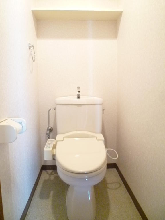 Toilet. Shower toilet. It is convenient because there is a shelf.