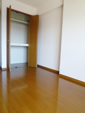 Living and room. There closet