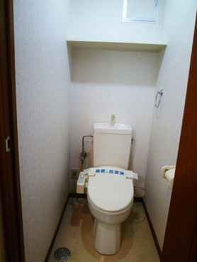 Toilet. Shower toilet