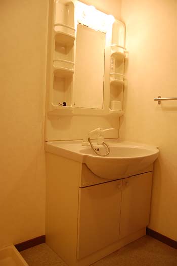 Washroom. Shampoo dresser
