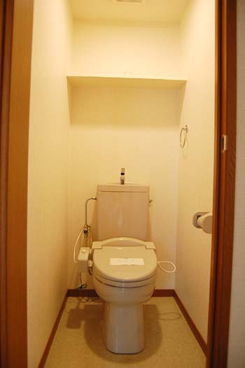 Toilet. Shower toilet