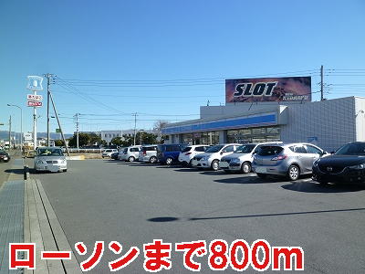 Convenience store. 800m until Lawson (convenience store)