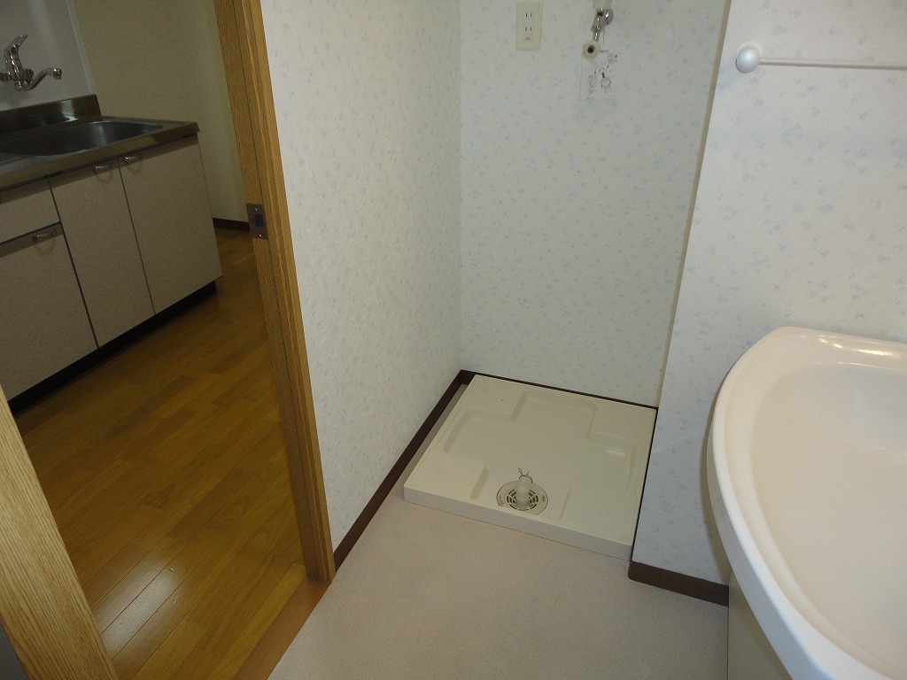 Washroom. Laundry Area