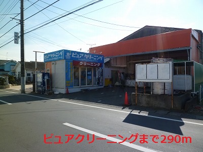 Other. Pure 290m until cleaning (Other)