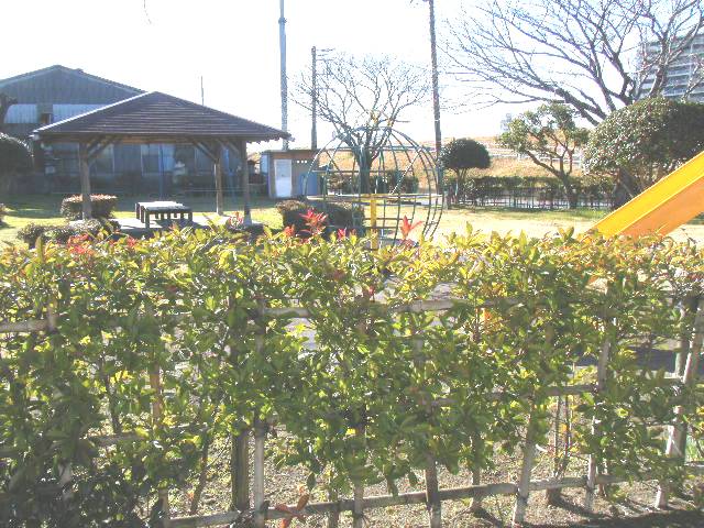 park. 80m to the park (park)