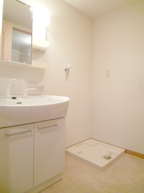 Washroom. Shampoo dresser