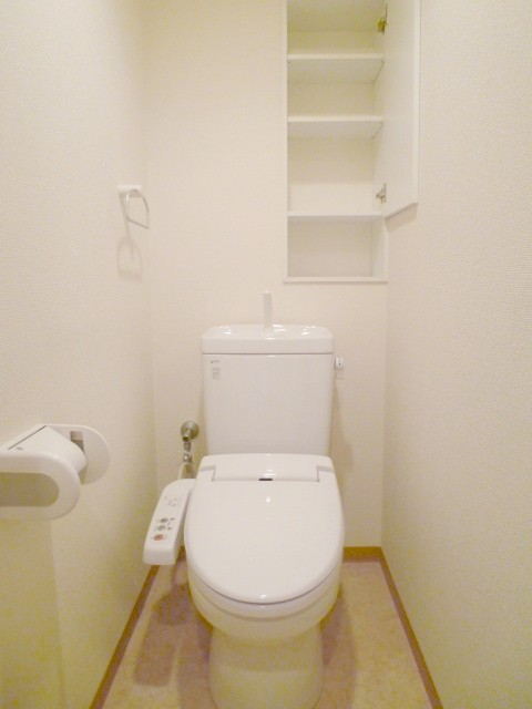 Toilet. Shower toilet