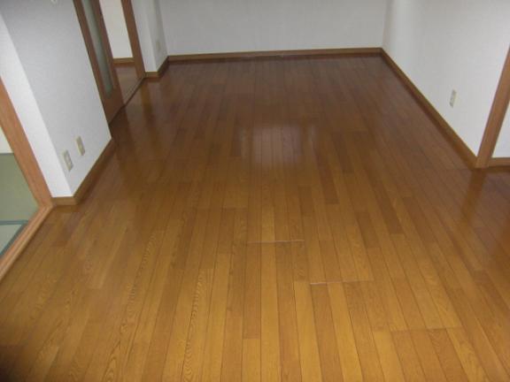 Living and room. Living