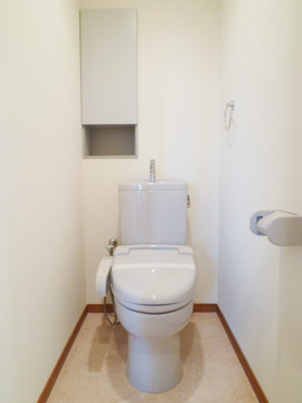 Toilet. Shower toilet